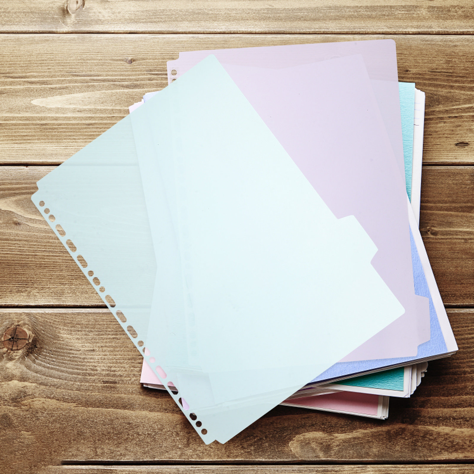 6Pcs Sturdy PP Tabbed Binder D - Tab Divider A4 のレビューと価格