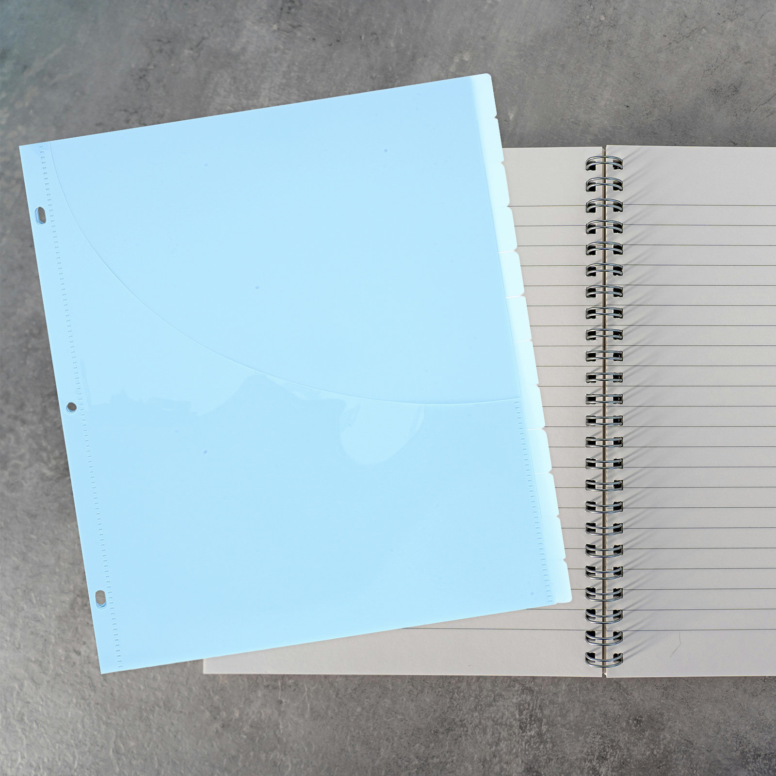 12Pcs Binder Dividers A4 Plast - Tab Divider A4 のレビューと価格