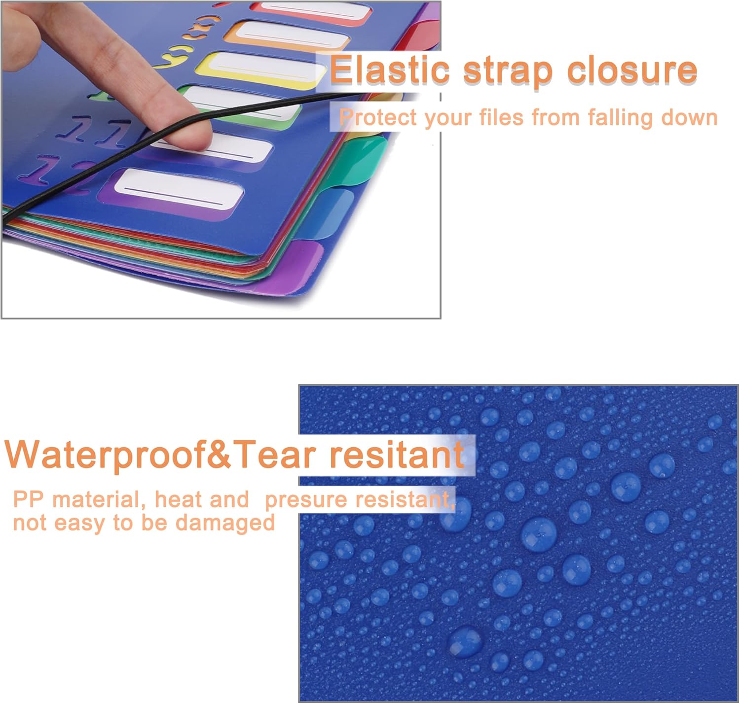 A4 Size Rainbow Tab Expanding  - Tab Divider A4 のレビューと価格